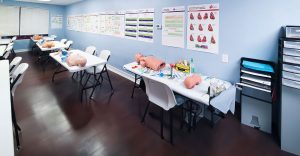CPR Tampa ACLS BLS